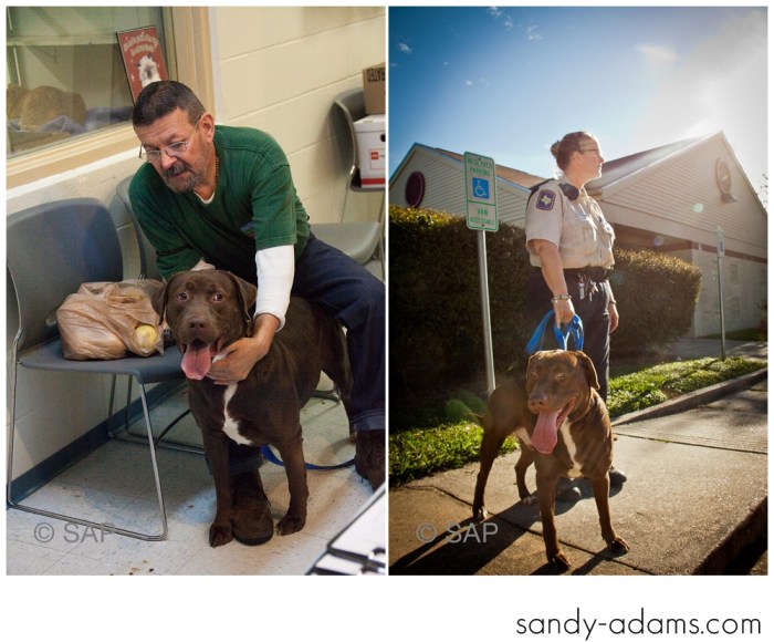 Sandy Adams Photography The Pet Palace League City Animal Shelter-7543