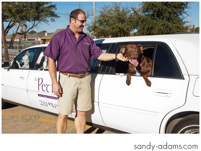 Sandy Adams Photography The Pet Palace League City Animal Shelter-7666