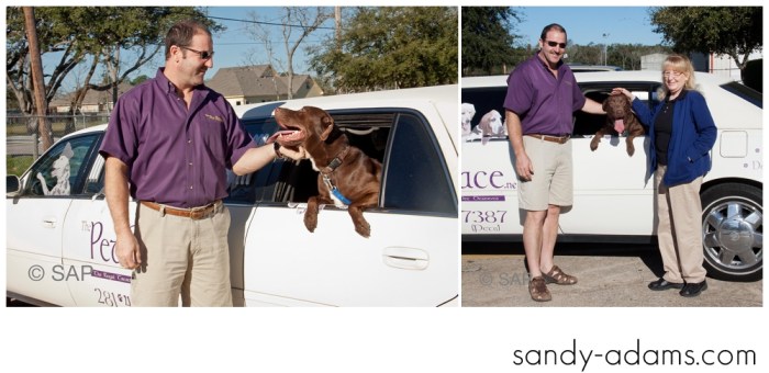 Sandy Adams Photography The Pet Palace League City Animal Shelter-7676