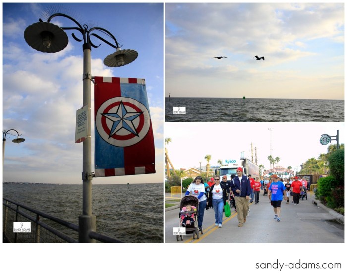 Sandy Adams Photography Bay Area Houston Heartwalk American Heart Association-0790