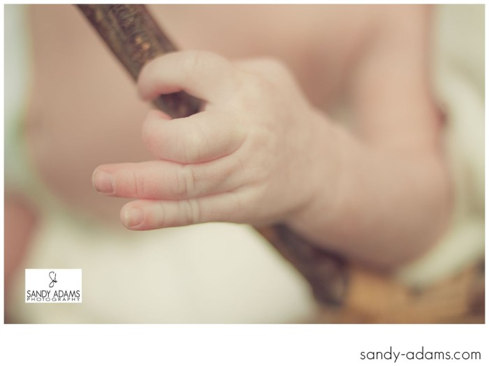 Sandy Adams Photography Houston Newborn Photographer-2