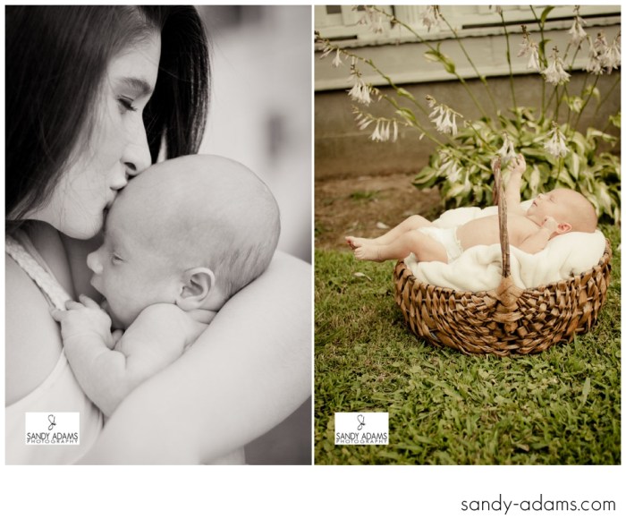 Sandy Adams Photography Houston Newborn Photographer-7
