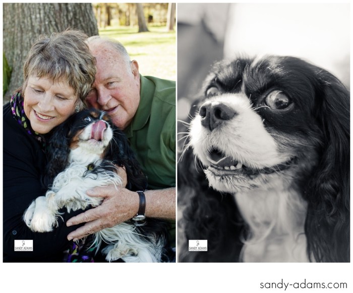 Sandy Adams Photography Smile for a cure Houston pet photographer-9762