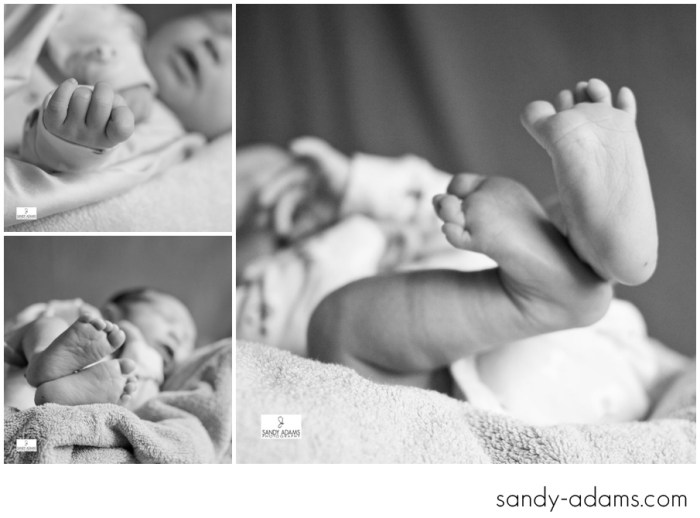 Sandy Adams Photography Houston League City Newborn Photographer-4706