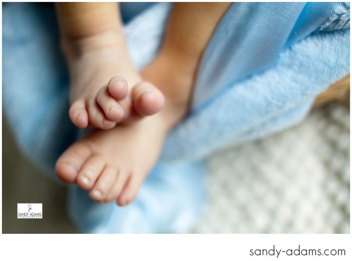 Sandy Adams Photography Houston League City Newborn Photographer-4724