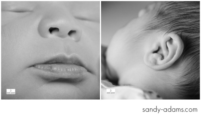 Sandy Adams Photography Houston League City Newborn Photographer-4728