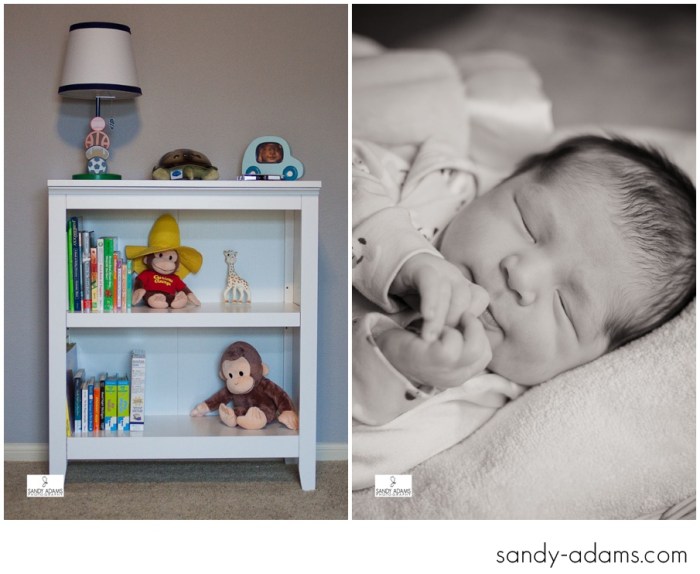 Sandy Adams Photography Houston League City Newborn Photographer-4770