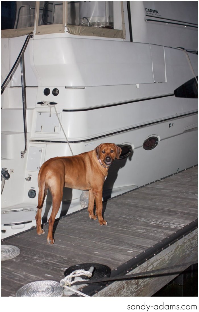 Sandy Adams Photography Clear Lake wedding Photographer-25