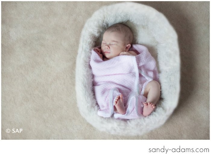 Sandy Adams League City Photographer Friendswood Photographer Seabrook Photographer--7