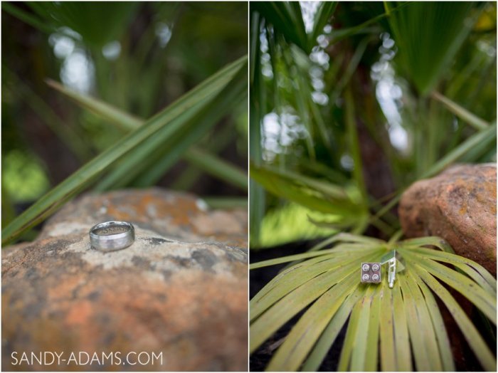 League City Friendswood Clear Lake Wedding Engagement Photographer Sandy Adams Photography-11-2