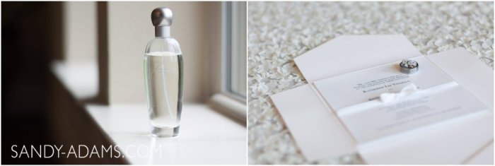 League City Friendswood Clear Lake Wedding Engagement Photographer Sandy Adams Photography-11