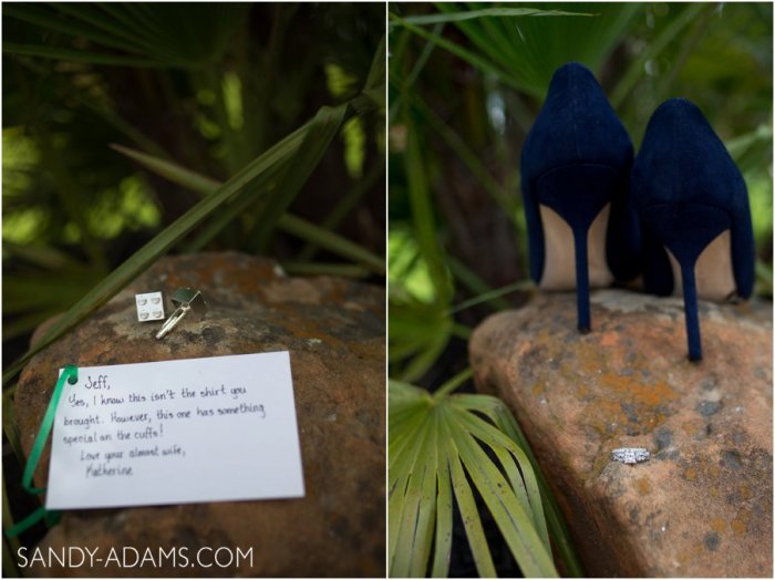 League City Friendswood Clear Lake Wedding Engagement Photographer Sandy Adams Photography-17-2