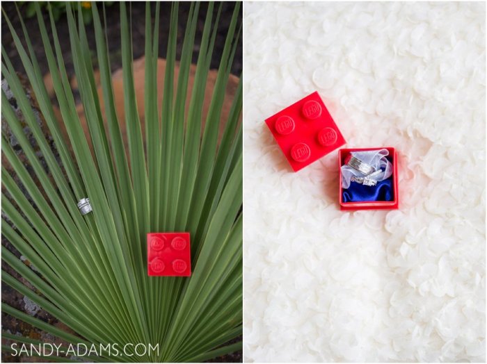 League City Friendswood Clear Lake Wedding Engagement Photographer Sandy Adams Photography-3-2