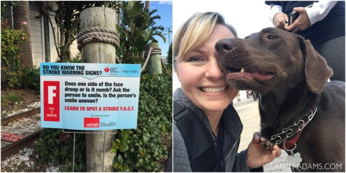 League CIty Friendswood Houston Bay Area Clear Lake Heart Walk American Heart Association Sandy Adams Photography-100