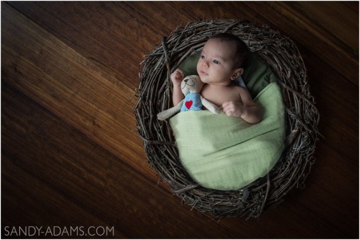 League City Seabrook Friendswood newborn maternity portrait photographer Sandy Adams Photography-16