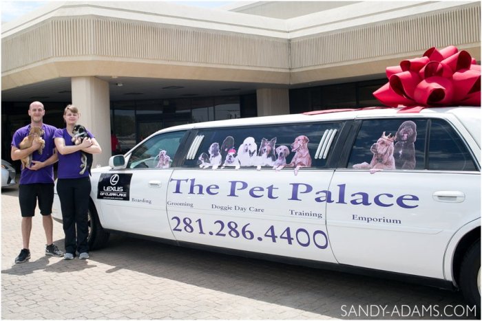 League CIty Friendswood Lexus Clear Lake HSPCA Pet Palace Doody Calls Portrait Sandy Adams Photography-5