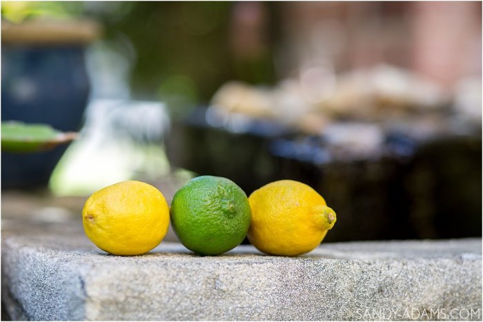 social-media-branding-marketing-coach-league-city-houston-clear-lake-portrait-photographer-clear-lake-sandy-adams-photography1